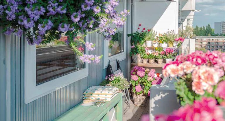 Květiny pro terasu a balkon